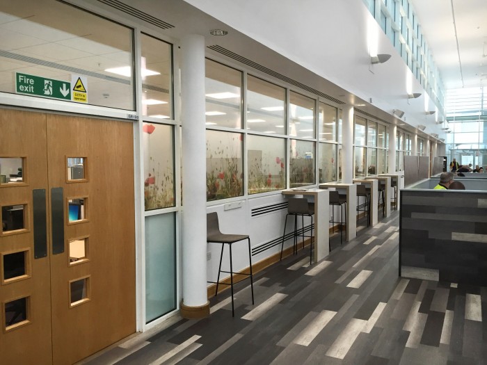 Medimmune UK, Restaurant - Bespoke Seating Surrounds, Flooring and Window Graphics